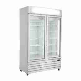 Armadio congelatore 2 ante  in abs con canopy pubblicitario refrigerazione no frost  -22 -25°C 1240 lt 1220x700x1980h mm