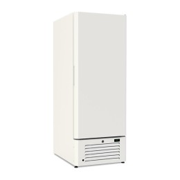 Armadio congelatore refrigerato in acciaio verniciato bianco statico con agitatore -10 -25°C 600 lt